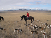 Lynn Lloyd in Montana