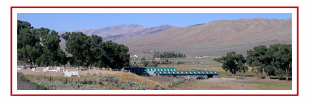 Red Rock Hounds - Horse Boarding and Training