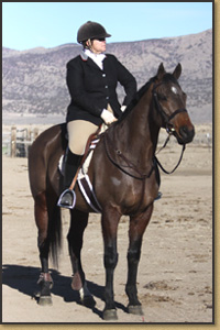 Jaxon the horse at the 2011 Red Rock Hunt